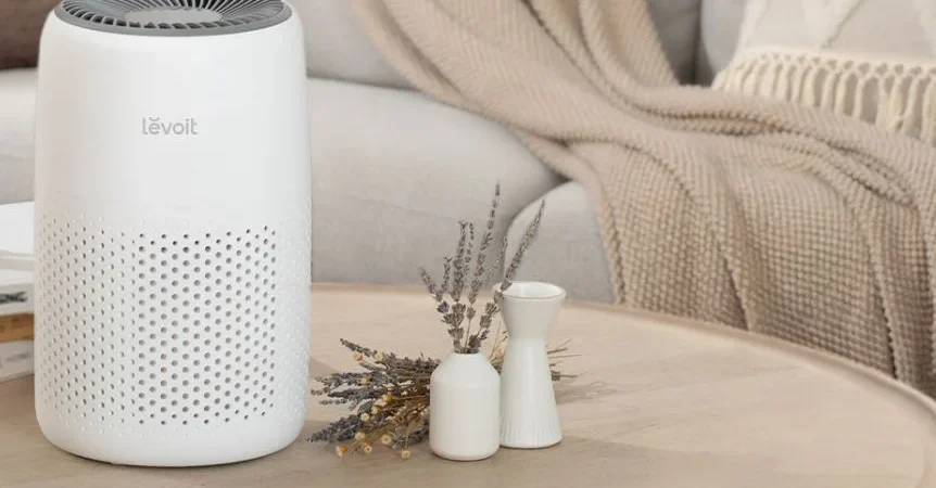 Purificador de Aire para el Hogar: ¿Por qué es necesario?