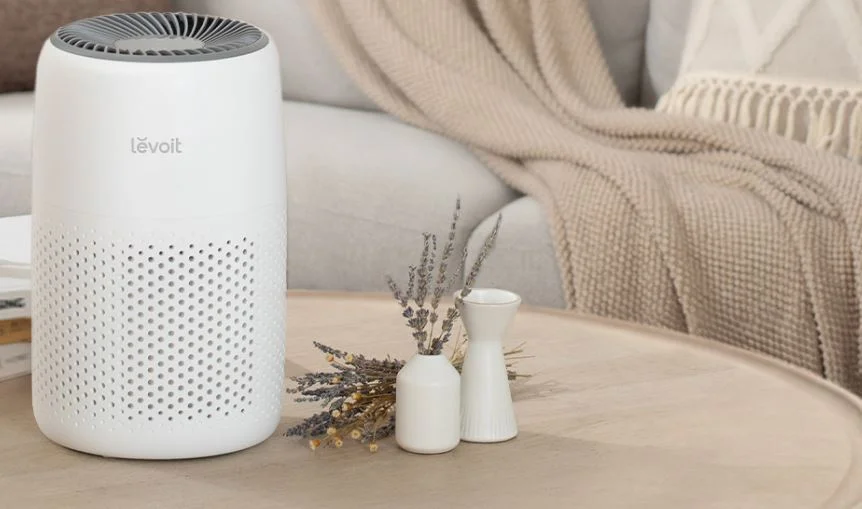 Purificador de Aire para el Hogar: ¿Por qué es necesario?