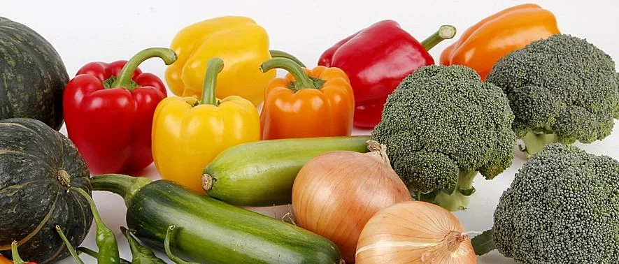 Picadoras de Alimentos para el Hogar | Guía de Compras